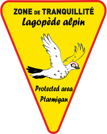 Panneau Lagopède Triangle Dibond 20x25cm TRI-DIB-GALLI1